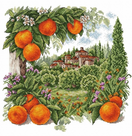 Фрагмент схеми крупним планом — апельсини в листі